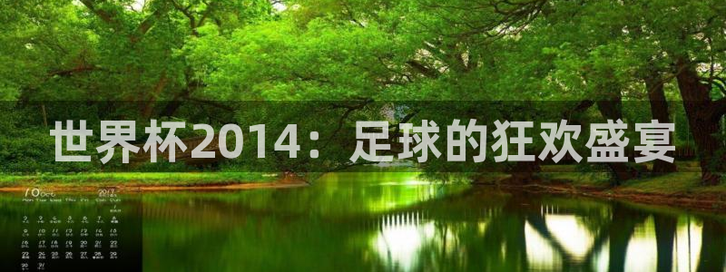 2026世界杯官网:世界杯2014:足球的狂欢盛宴