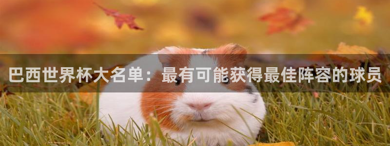 世界杯直播时间:巴西世界杯大名单:最有可能获得最佳阵容的球员