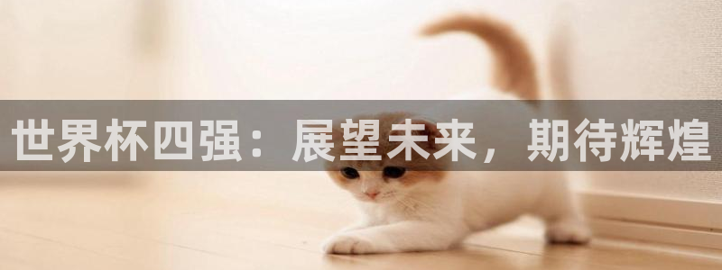 世界杯时间:世界杯四强:展望未来,期待辉煌