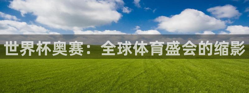2026年世界杯赛程:世界杯奥赛:全球体育盛会的缩影
