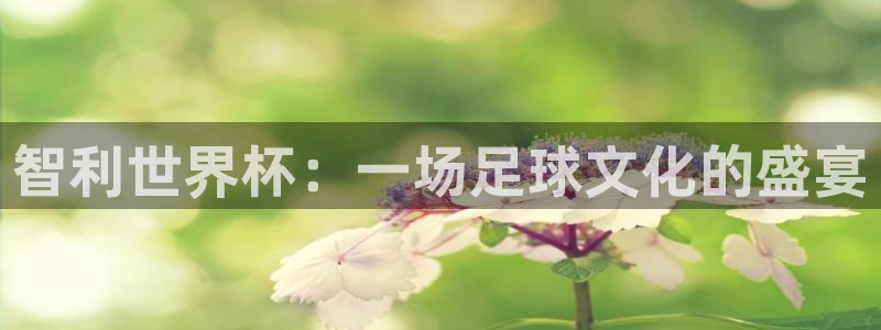 2026足球世界杯:智利世界杯:一场足球文化的盛宴