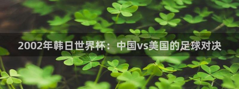 世界杯直播观看:2002年韩日世界杯:中国vs美国的足球对决