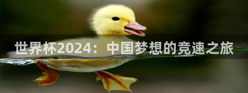 世界杯欧洲预选赛:世界杯2024:中国梦想的竞速之旅