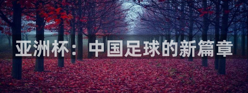 2026世界杯买球:亚洲杯:中国足球的新篇章
